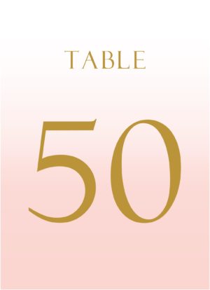 Blush table number sample