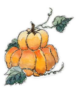 sample of watercolor pumpkins