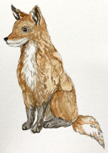 Image of painted fox