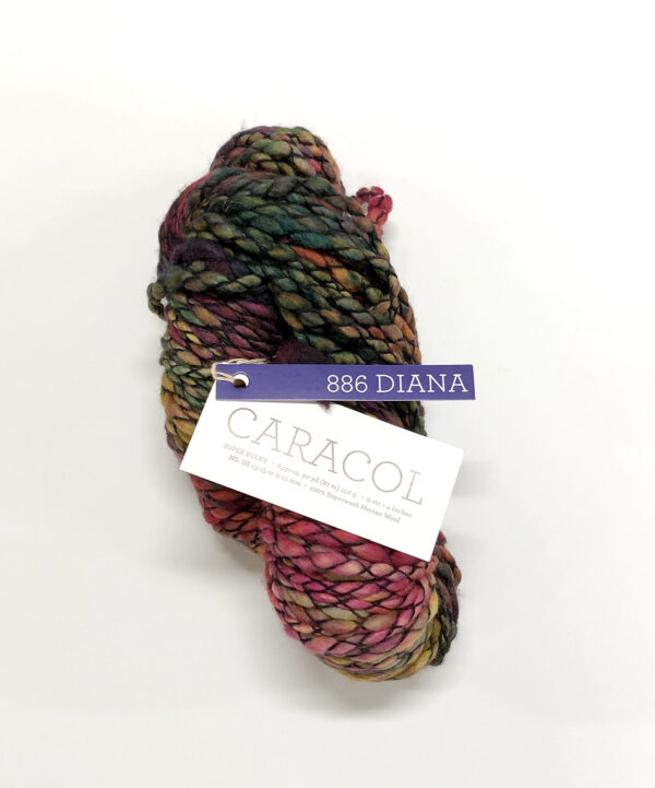 Malabrigo Caracol