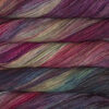 Malabrigo Sock Aniversario