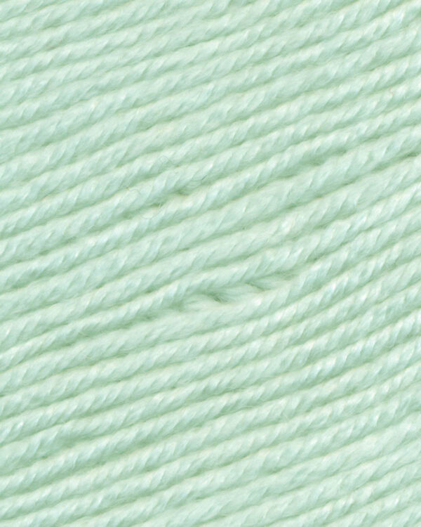 Ella Rae Cozy Soft Light Green color 32