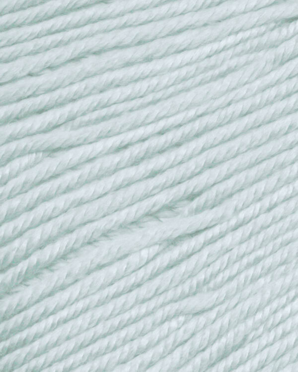 Ella Rae Cozy Soft Seafoam color 64