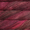 Malabrigo Arroyo Jupiter
