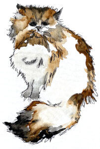 Pet Portrait image