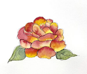 Beginner Watercolor Rose project