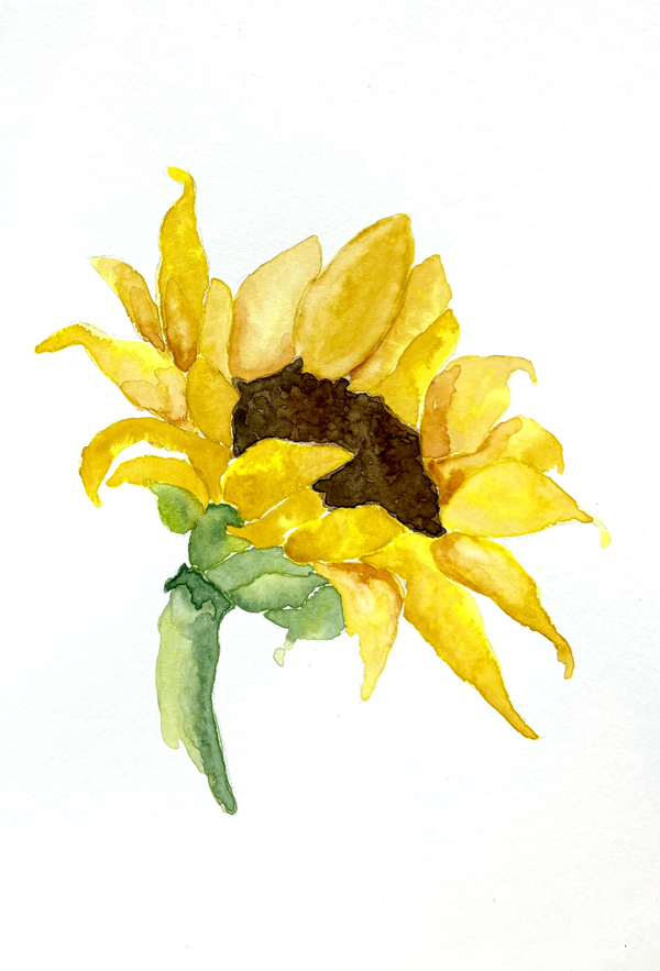 watercolor sunflower