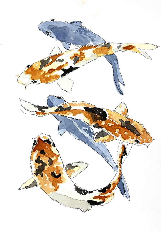 sample of watercolor koi
