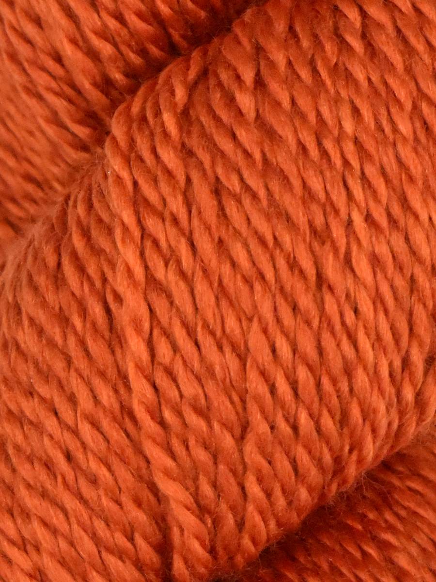 Jody Long Delish Spice Color 026